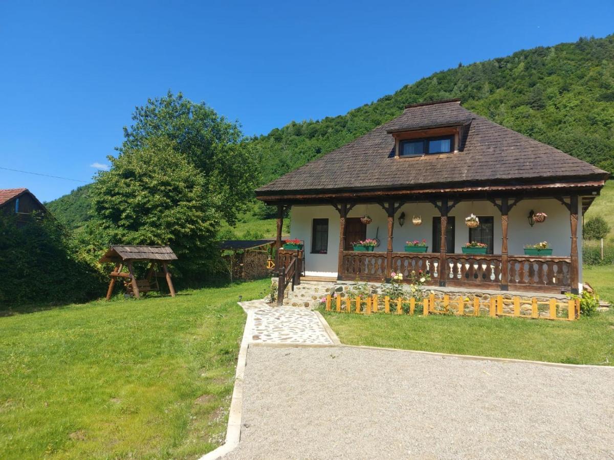 Casuta Din Rusca Villa Sebesu de Jos Dış mekan fotoğraf