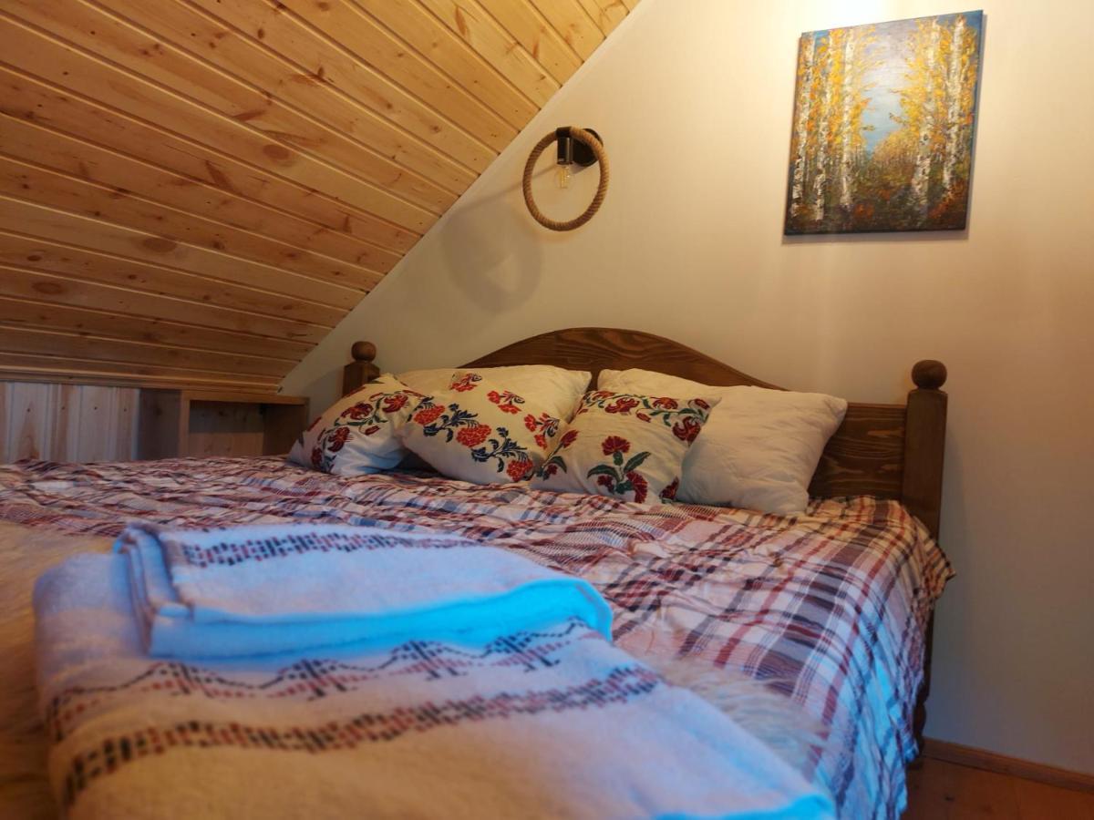 Casuta Din Rusca Villa Sebesu de Jos Dış mekan fotoğraf