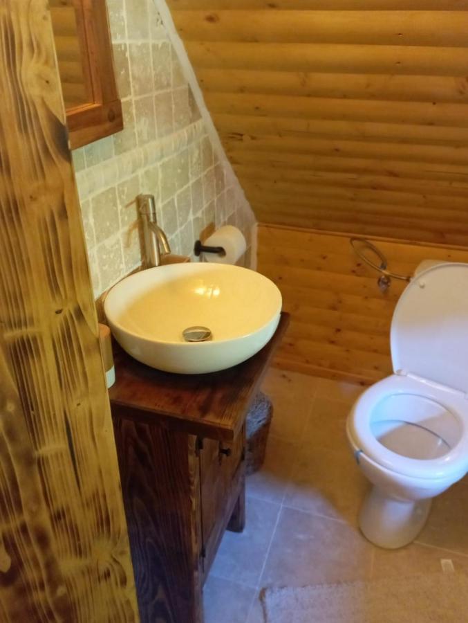 Casuta Din Rusca Villa Sebesu de Jos Dış mekan fotoğraf
