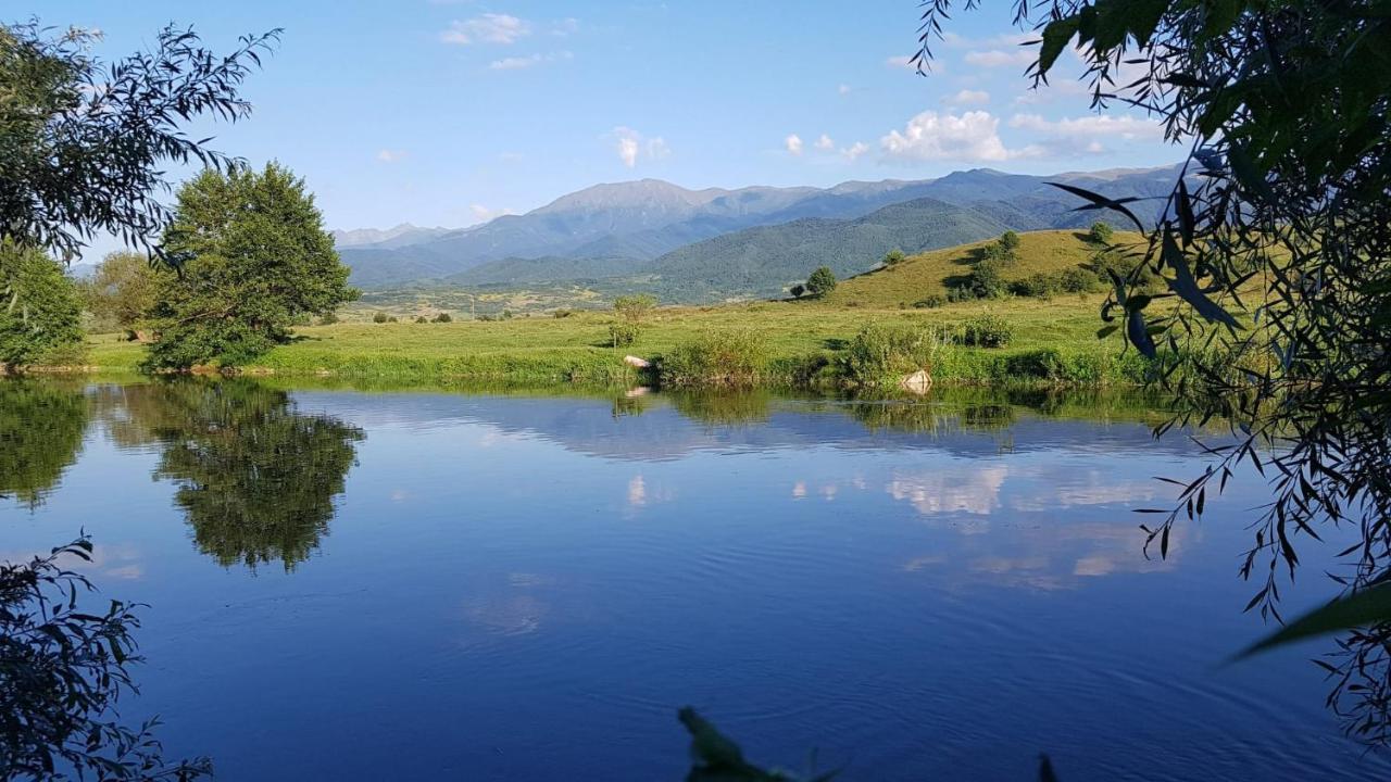 Casuta Din Rusca Villa Sebesu de Jos Dış mekan fotoğraf