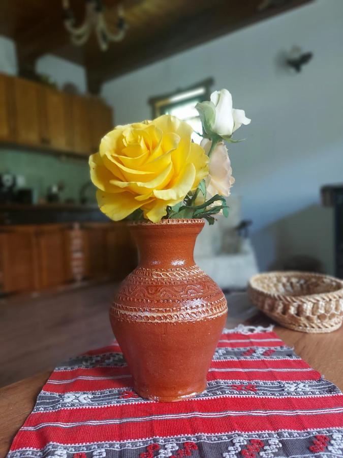 Casuta Din Rusca Villa Sebesu de Jos Dış mekan fotoğraf