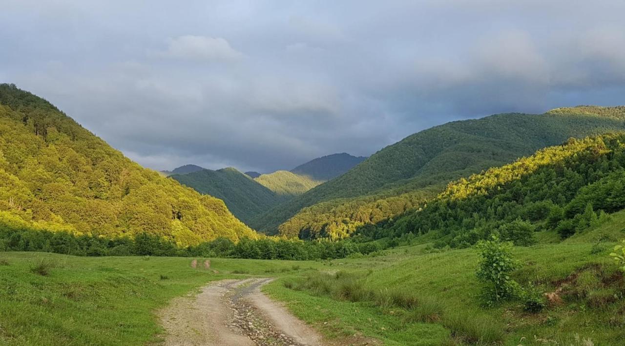 Casuta Din Rusca Villa Sebesu de Jos Dış mekan fotoğraf