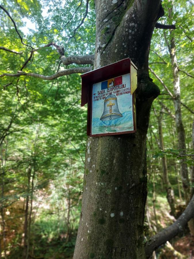 Casuta Din Rusca Villa Sebesu de Jos Dış mekan fotoğraf