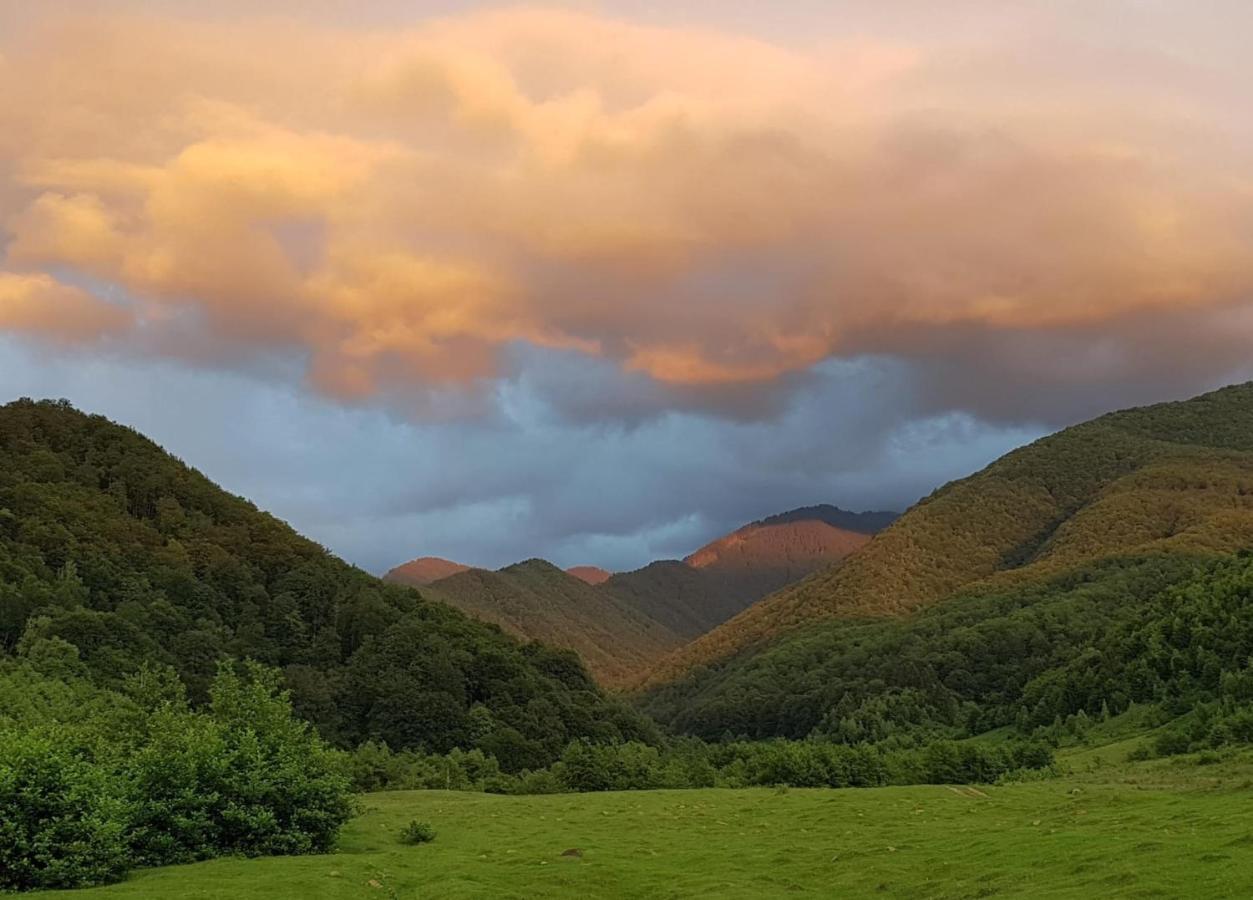 Casuta Din Rusca Villa Sebesu de Jos Dış mekan fotoğraf