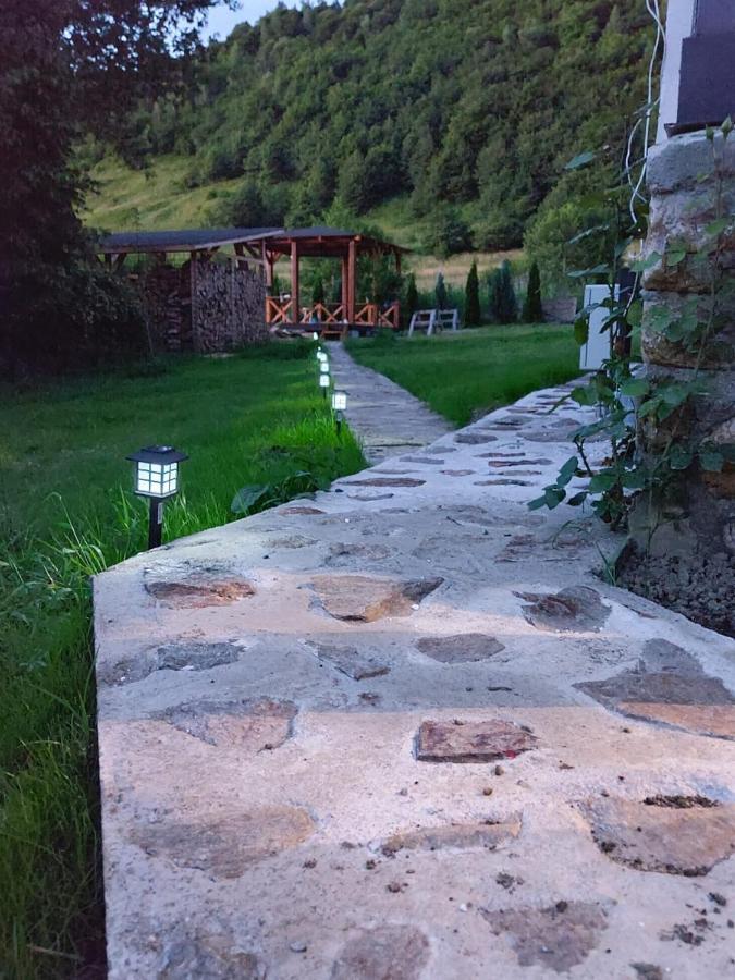Casuta Din Rusca Villa Sebesu de Jos Dış mekan fotoğraf