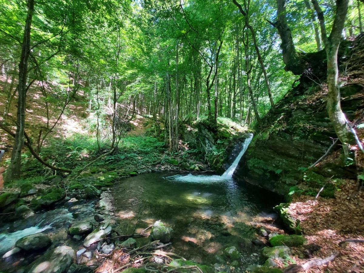 Casuta Din Rusca Villa Sebesu de Jos Dış mekan fotoğraf