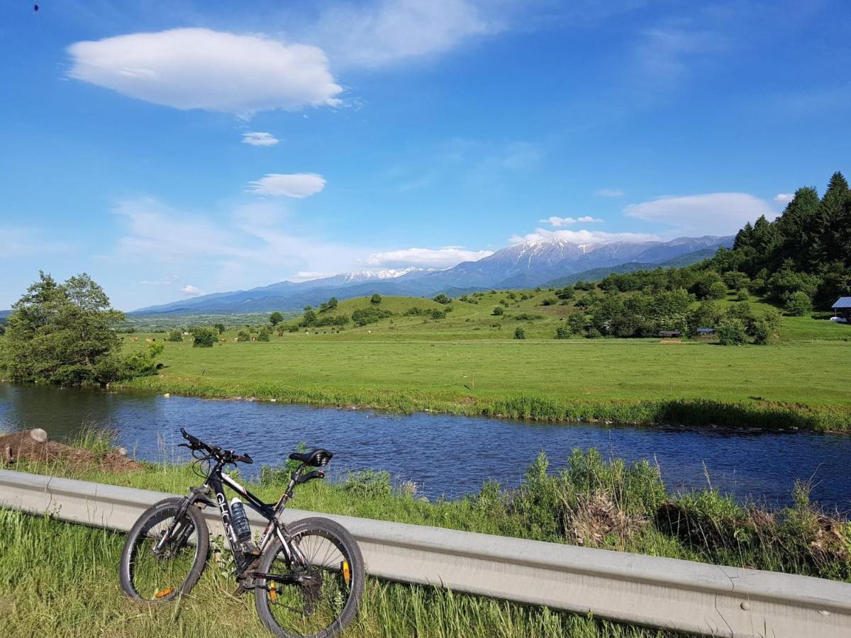 Casuta Din Rusca Villa Sebesu de Jos Dış mekan fotoğraf