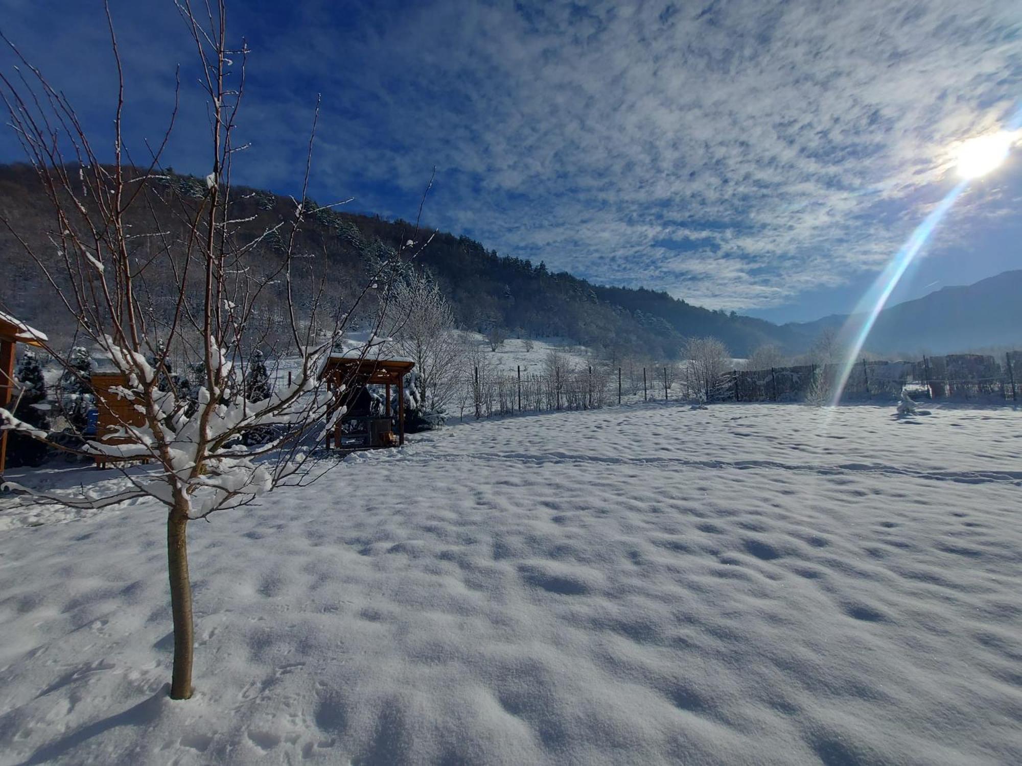 Casuta Din Rusca Villa Sebesu de Jos Dış mekan fotoğraf