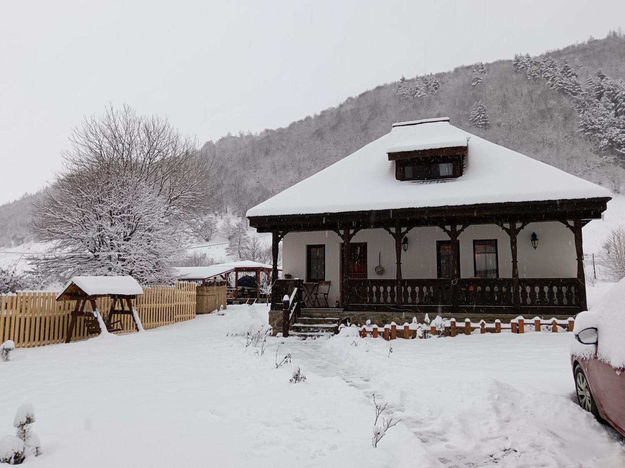 Casuta Din Rusca Villa Sebesu de Jos Dış mekan fotoğraf