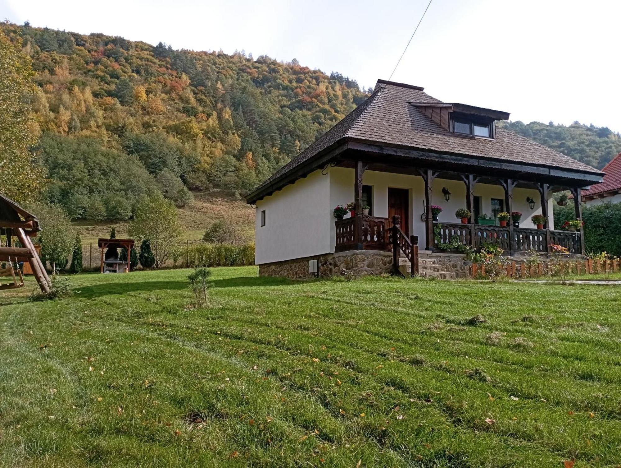 Casuta Din Rusca Villa Sebesu de Jos Dış mekan fotoğraf